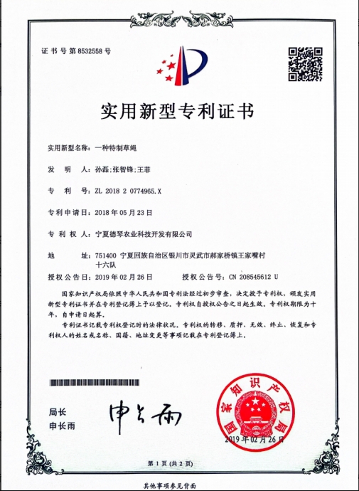 宁夏蜜桃AV无码国产丝袜在线观看子
