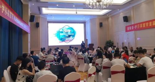 2019水蜜桃黄色网站整體軟裝設計方案輸出培訓