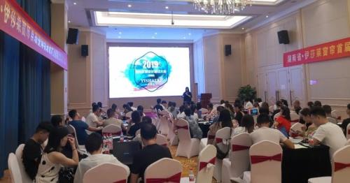 2019水蜜桃黄色网站整體軟裝設計方案輸出培訓